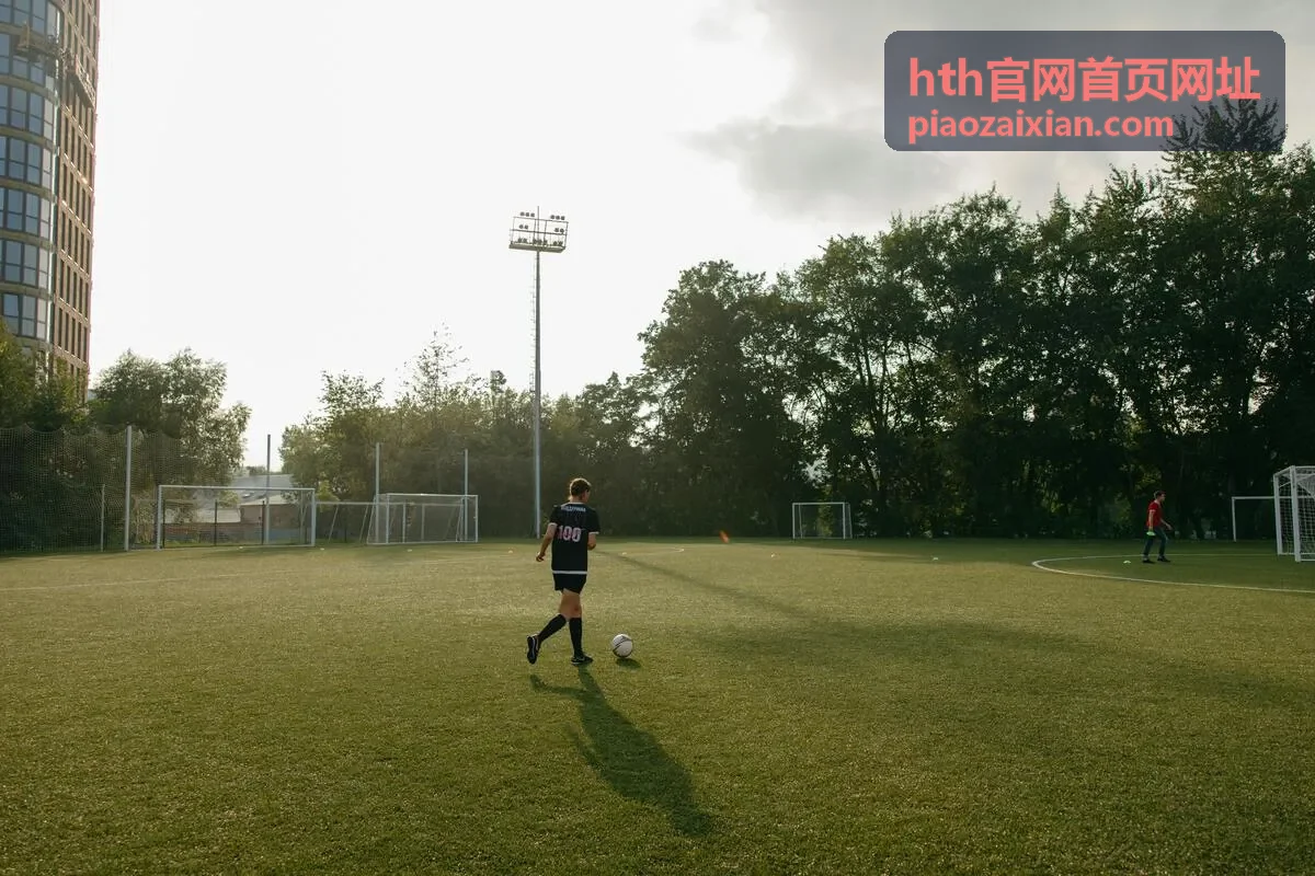 hth官网首页网址服务项目咨询支持示意图