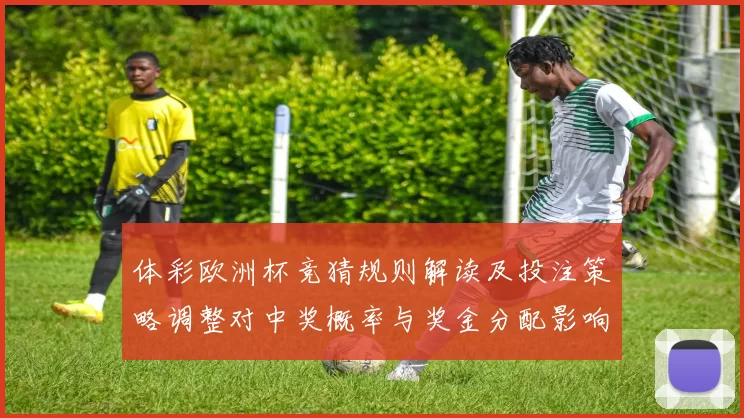 体彩欧洲杯竞猜规则解读及投注策略调整对中奖概率与奖金分配影响