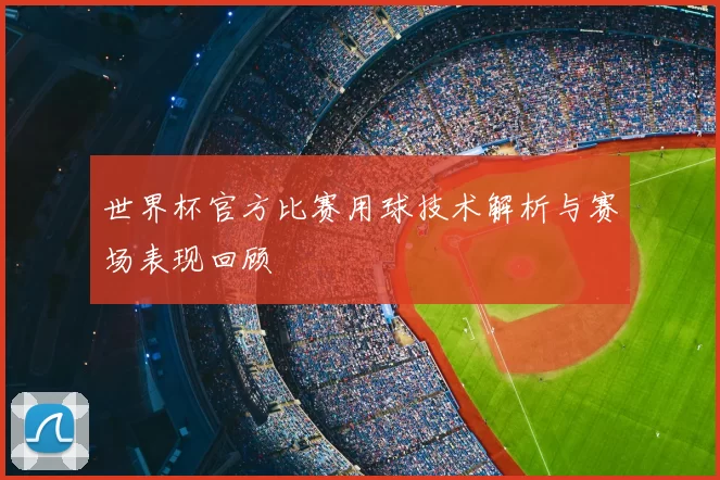 世界杯官方比赛用球技术解析与赛场表现回顾