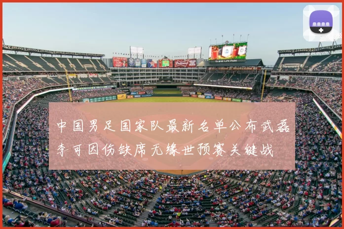 中国男足国家队最新名单公布武磊李可因伤缺席无缘世预赛关键战