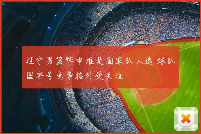 辽宁男篮阵中谁是国家队人选 球队国字号竞争格外受关注