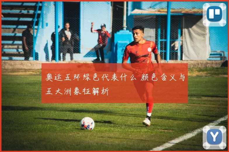 奥运五环绿色代表什么 颜色含义与五大洲象征解析