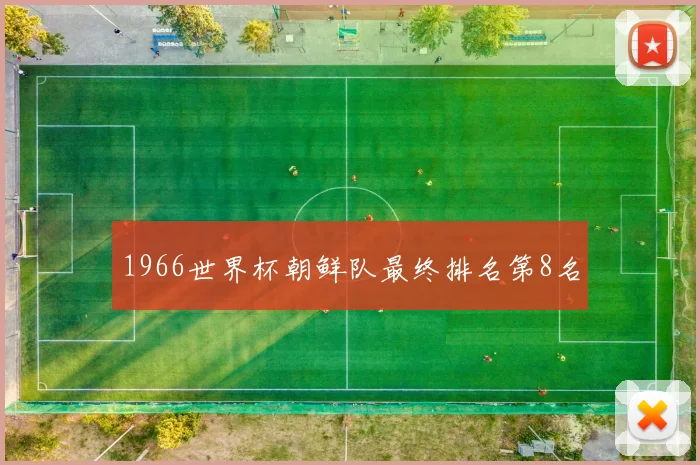 1966世界杯朝鲜队最终排名第8名